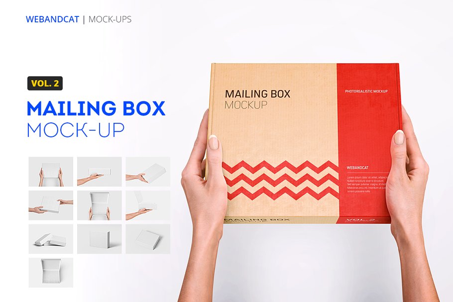 Blank Cardboard Box Mockup