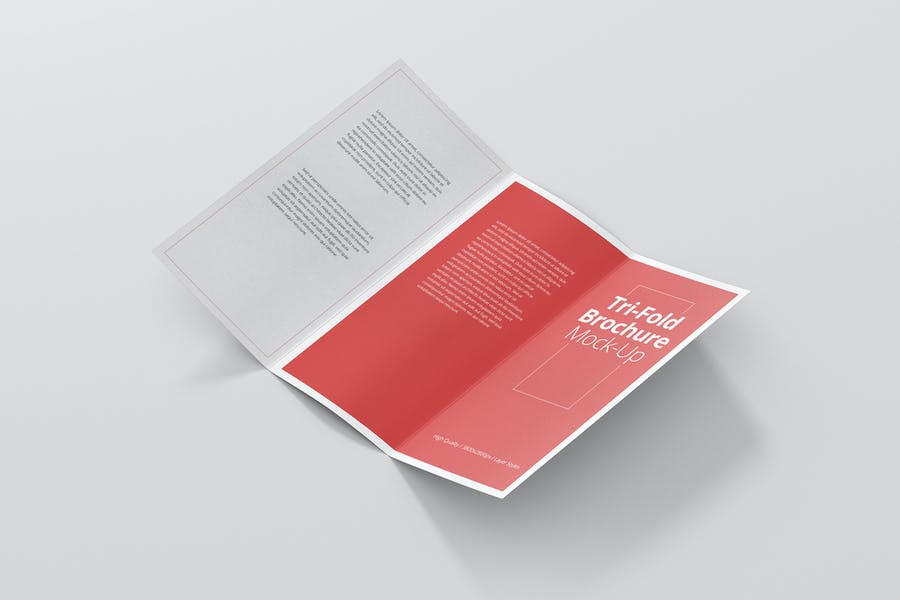 DL Tri Fold Brochure Mockup
