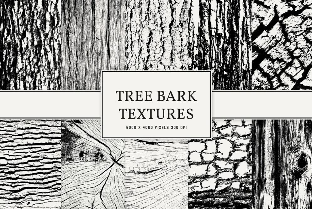 Artistic Tree Bark Textures
