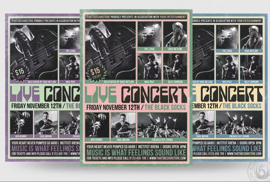 Live Concert Promotional Flyer Design