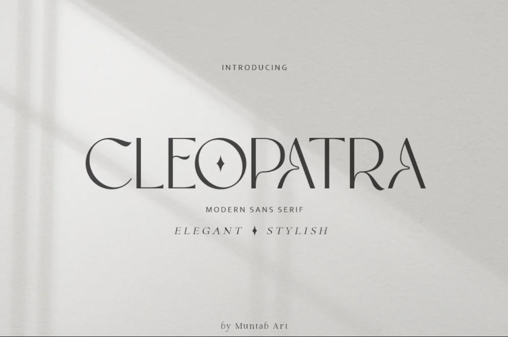 Elegant and Stylish Typeface