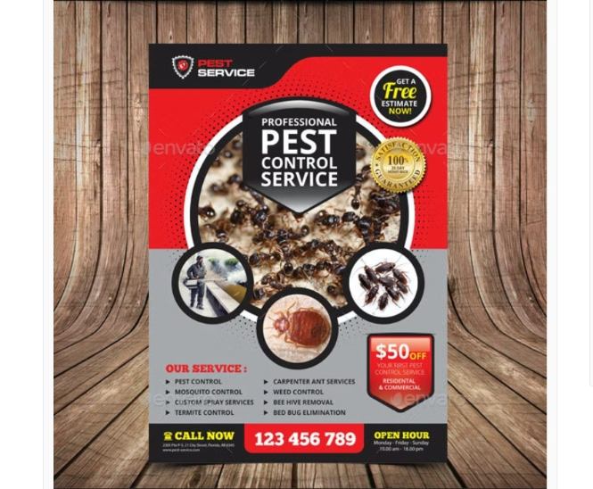 Pest Control Advert Flyer