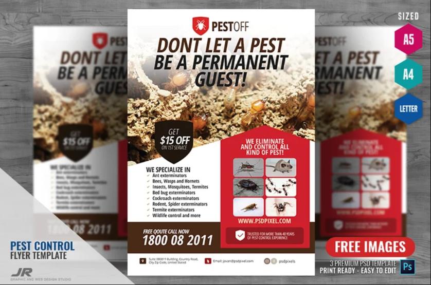 Pest and Insect Flyer Design