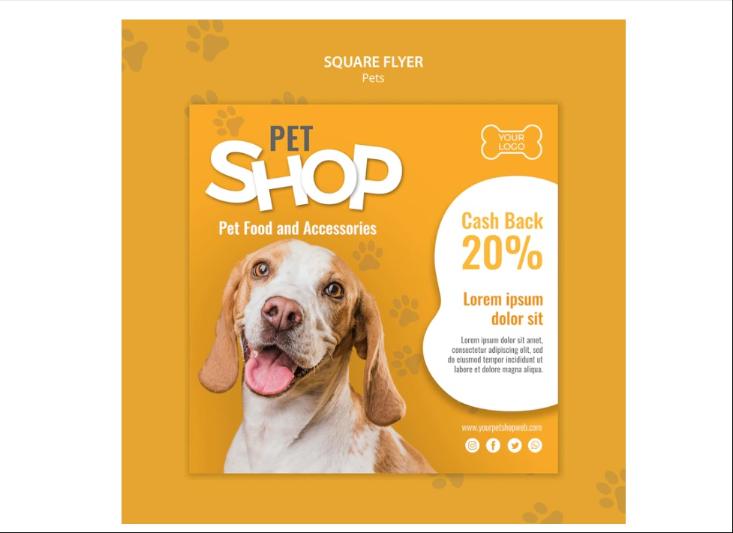 Square Pet Shop Flyer Design