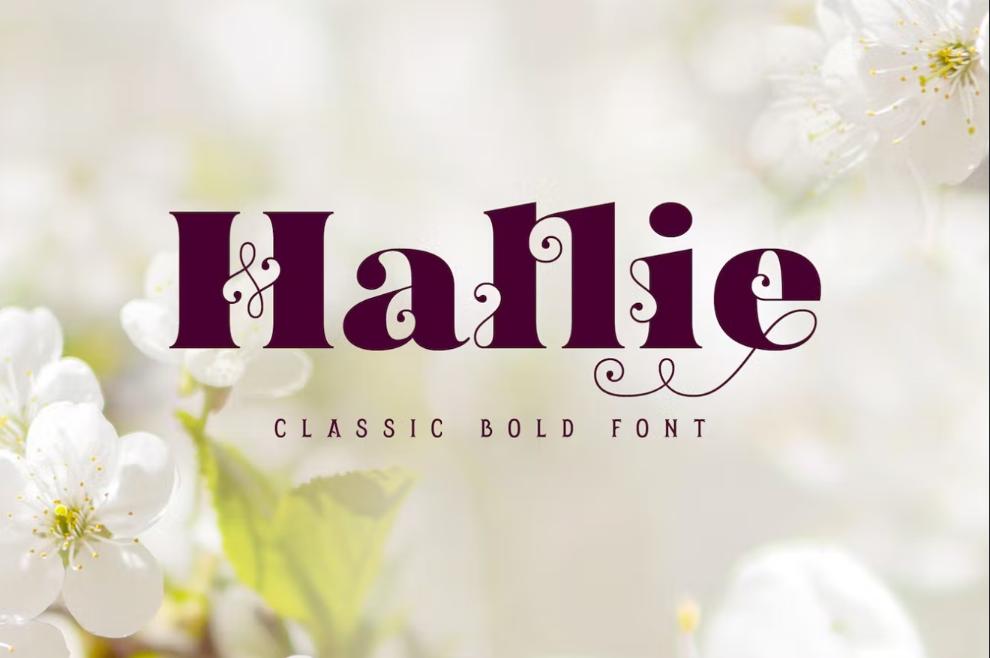 Bold Classic Style Typeface