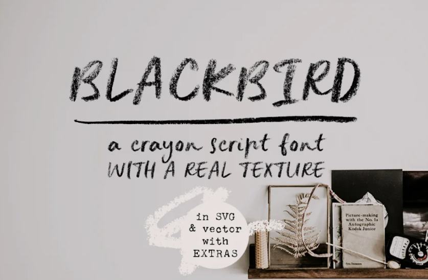 Creative Crayon Script Typeface