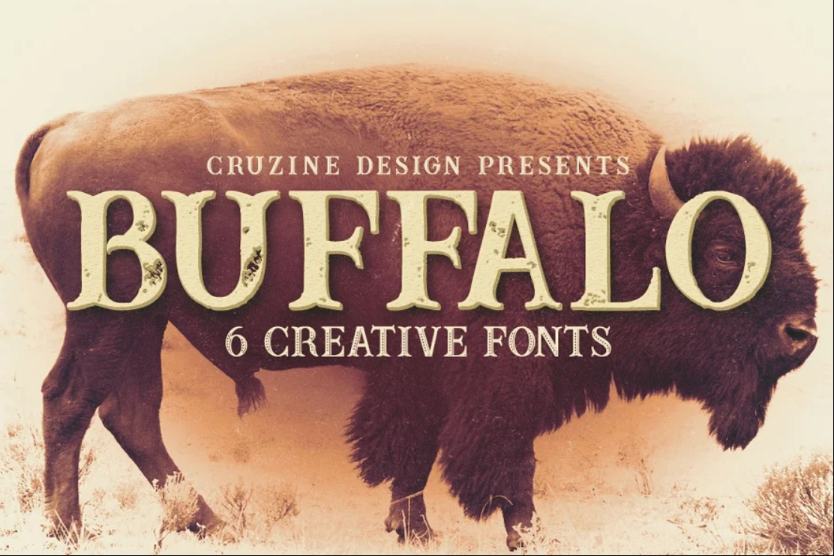 6 Creative Display Typefaces