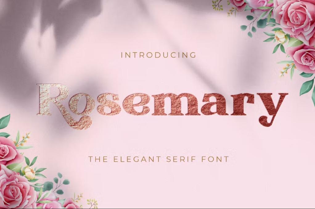 Classy Style Display Fonts