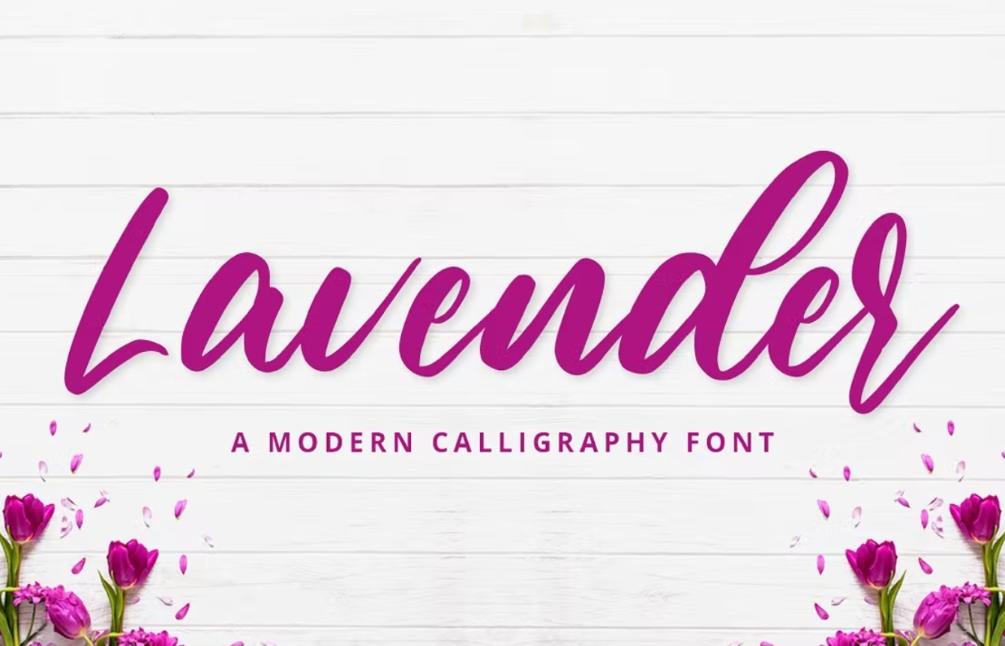 Modern Calligraphy Font Style