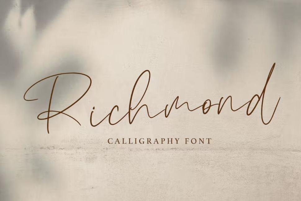 Thin Signature Style Display Font